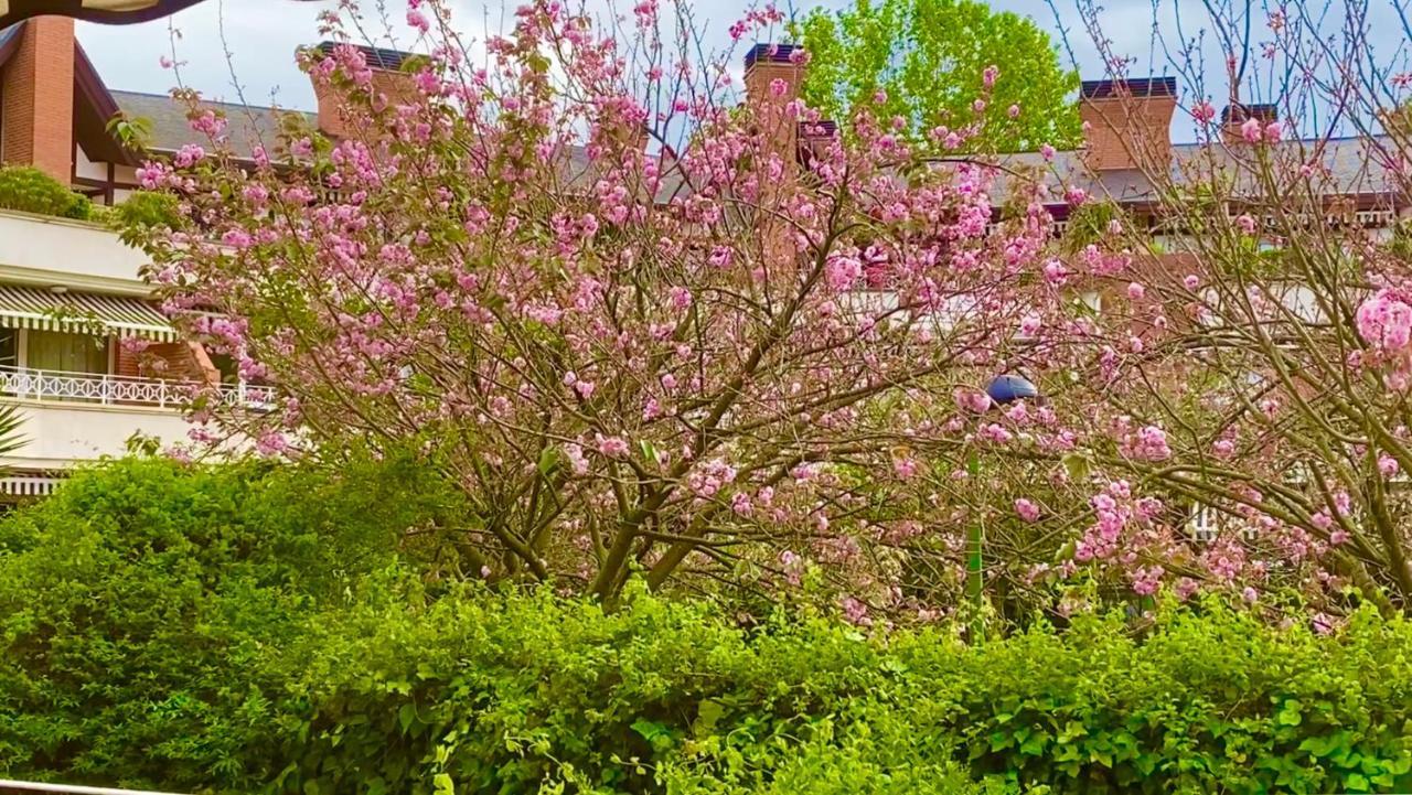 Apartamento Con Jardin Getxo Ngoại thất bức ảnh